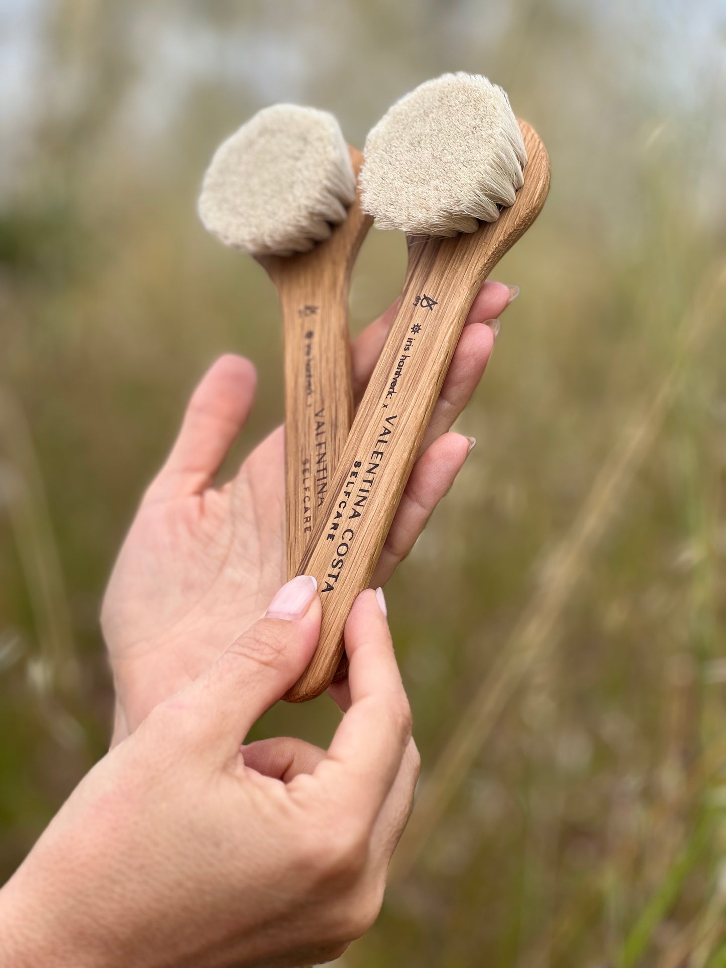 VENUS DRY BRUSHES