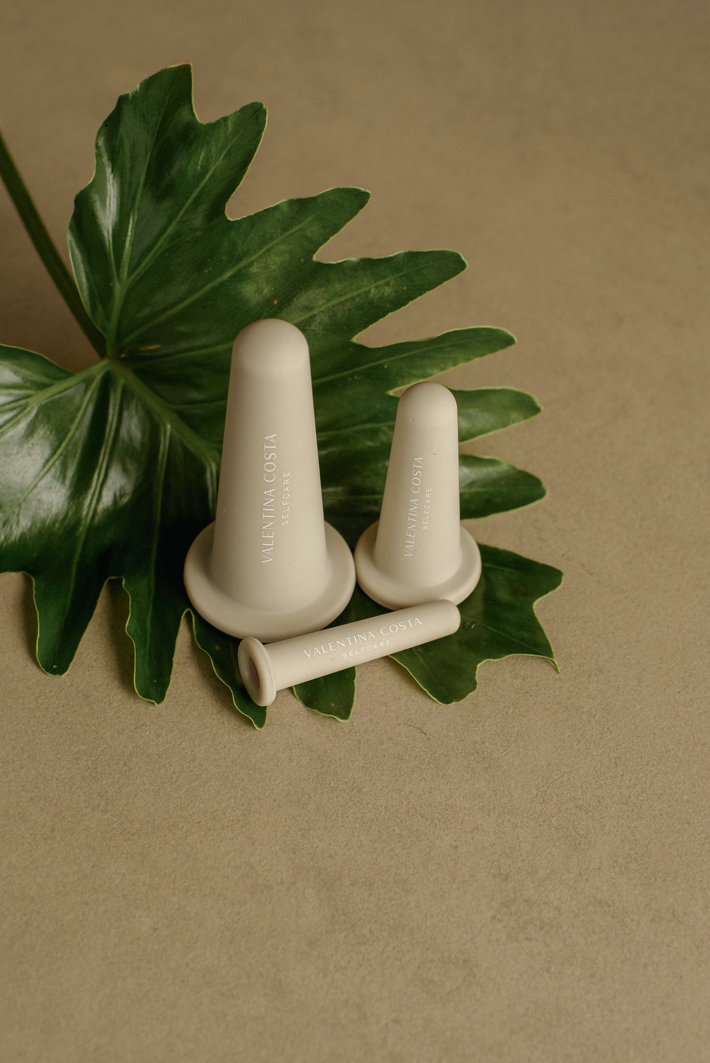 THE VELVET CUPS