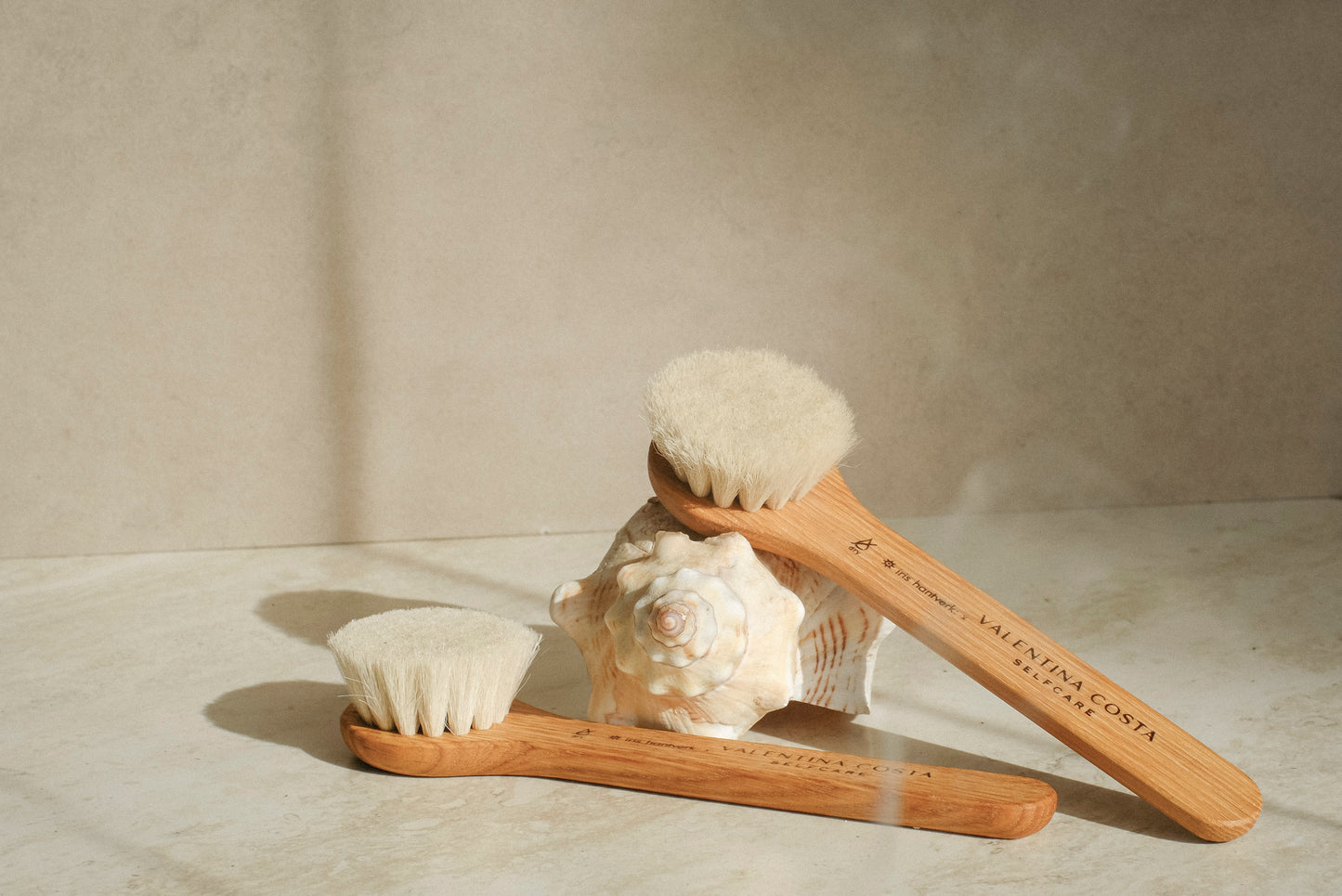 VENUS DRY BRUSHES