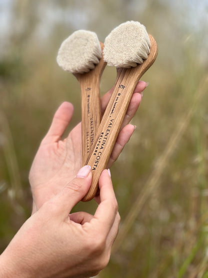 VENUS DRY BRUSHES