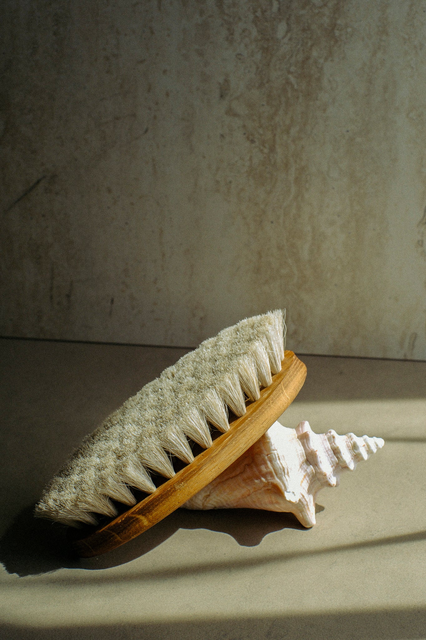 VENUS BODY DRY BRUSH