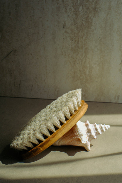 VENUS BODY DRY BRUSH