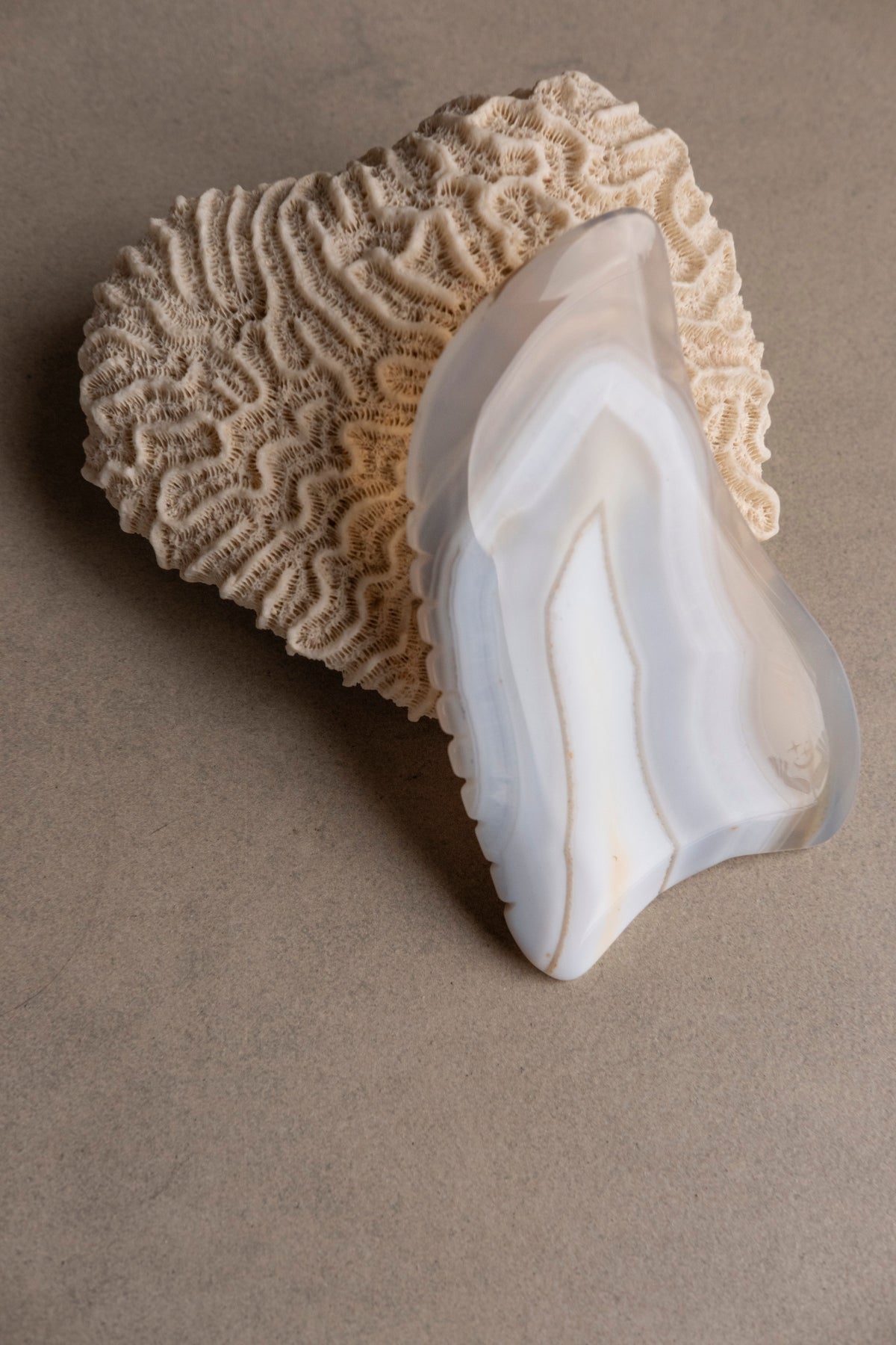 MUSA GUA SHA