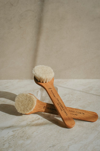 VENUS DRY BRUSHES