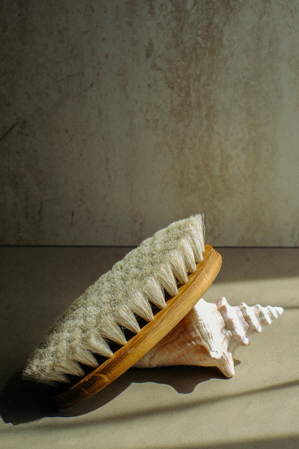 VENUS BODY DRY BRUSH
