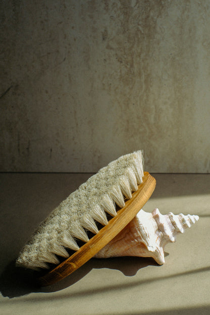 VENUS BODY DRY BRUSH